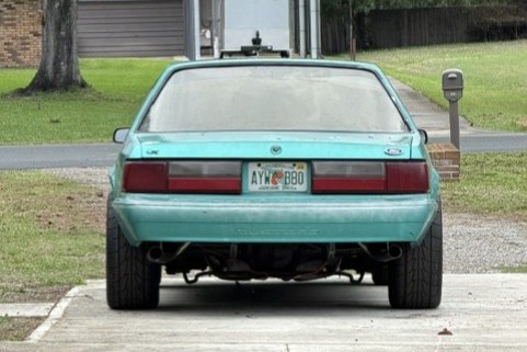 Calypso Green Mustang rear view