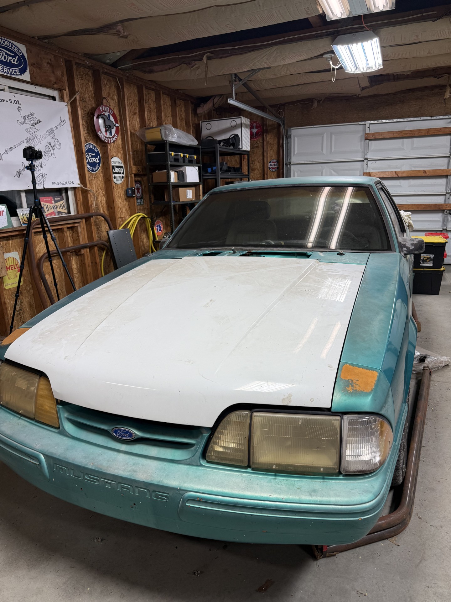 Smog Mustang Project